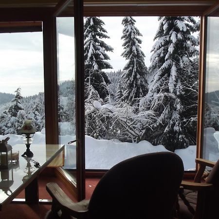 Chata S Vyhledem Jáchymov Buitenkant foto