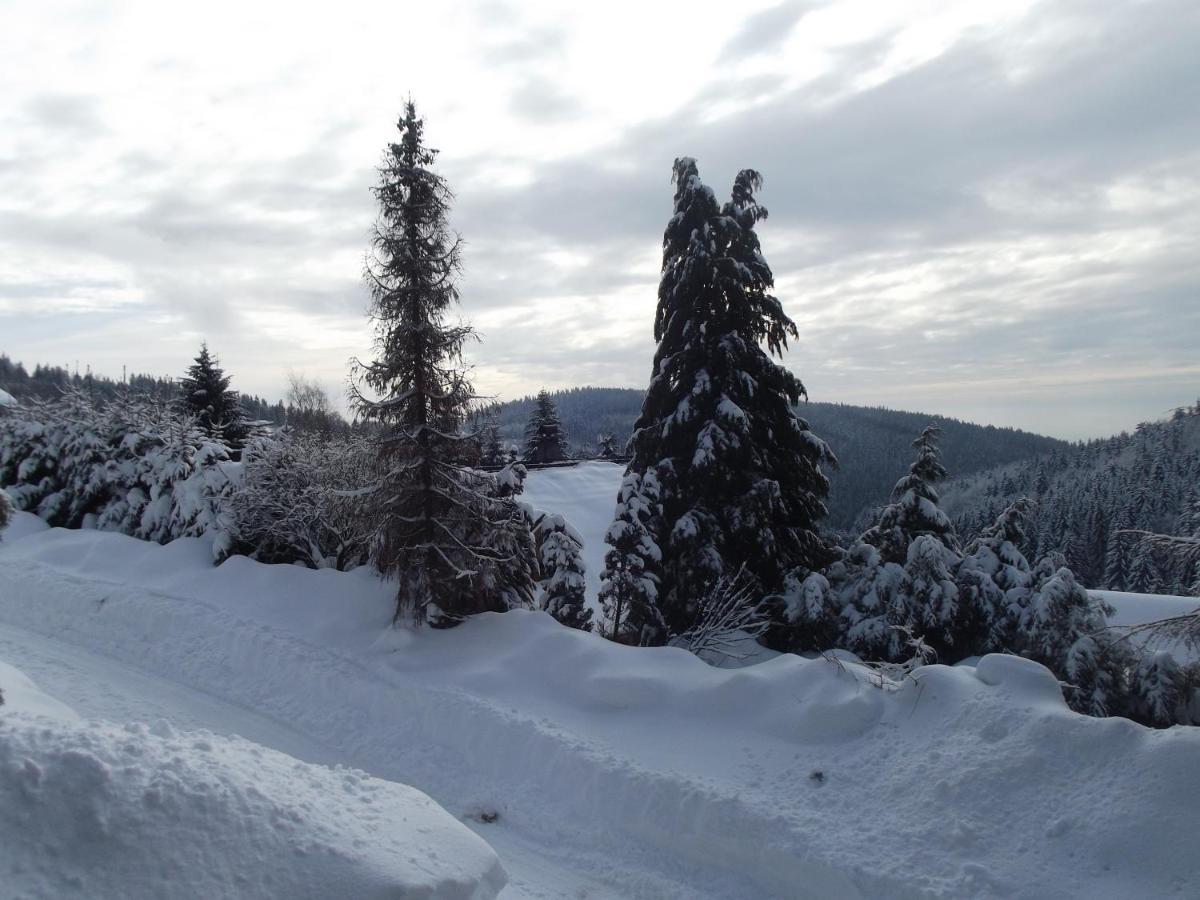 Chata S Vyhledem Jáchymov Buitenkant foto
