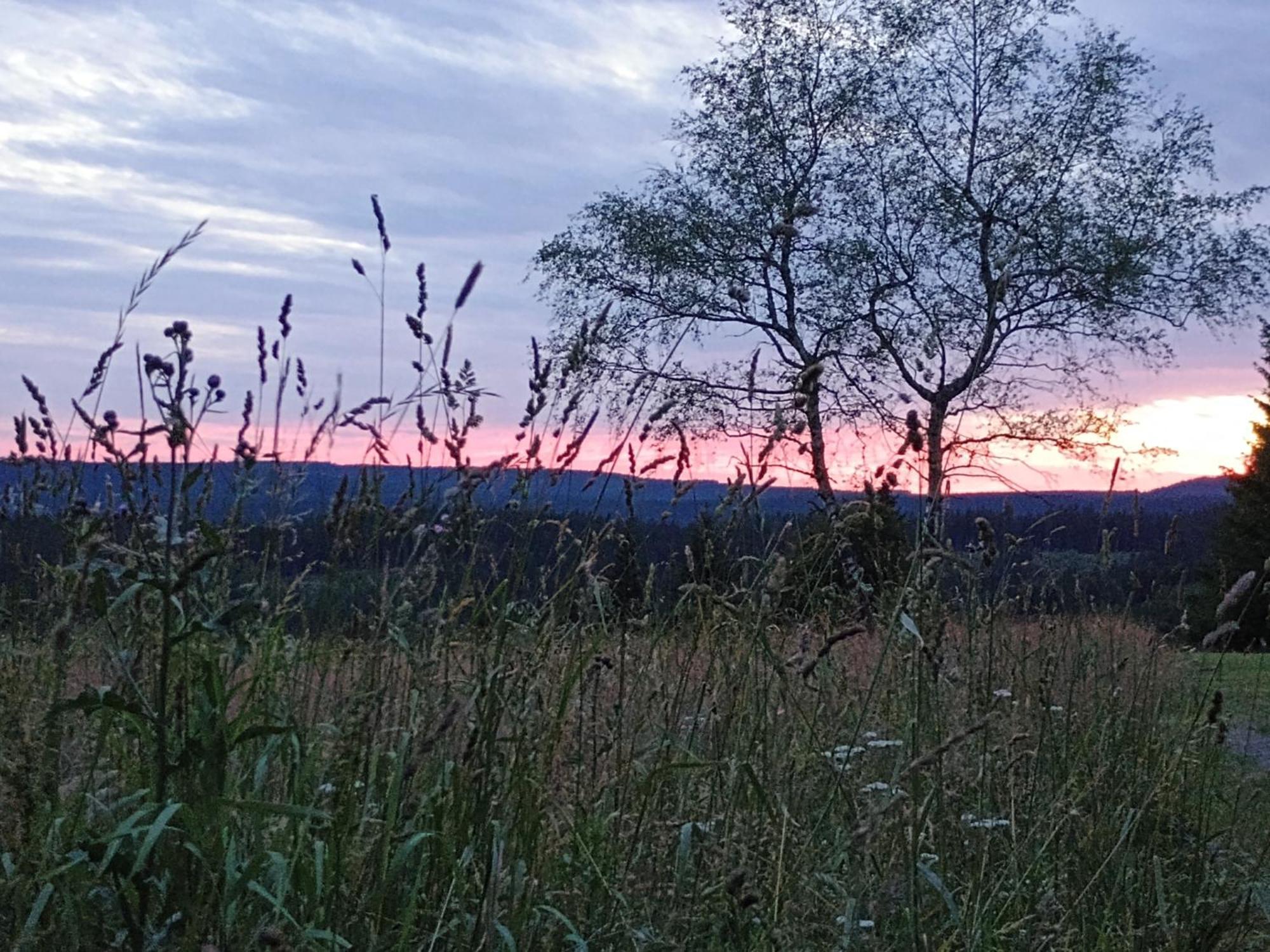 Chata S Vyhledem Jáchymov Buitenkant foto