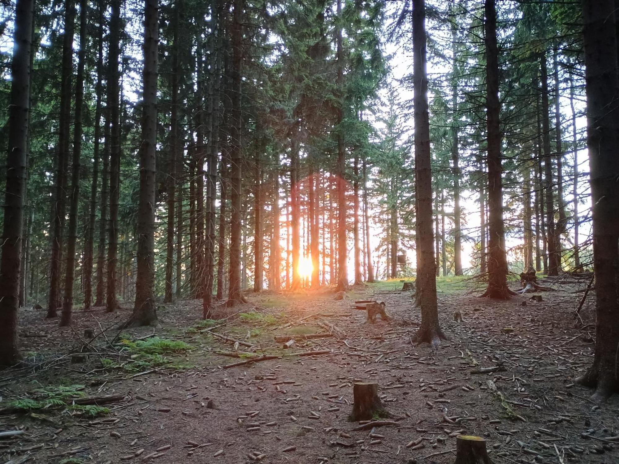 Chata S Vyhledem Jáchymov Buitenkant foto